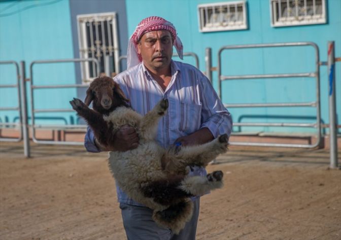 Yurtta Kurban Bayramı hareketliliği başladı