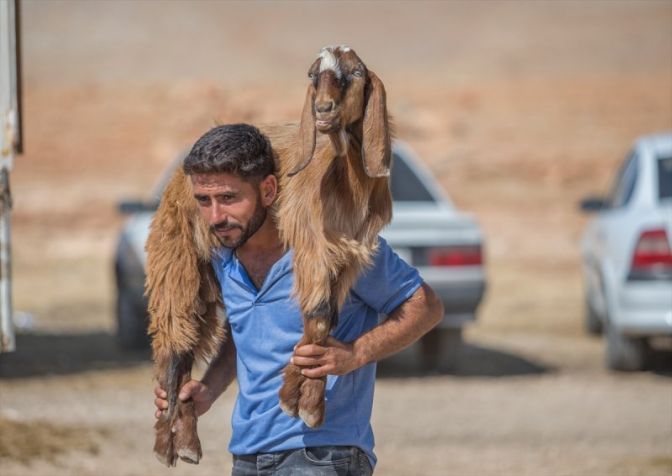 Yurtta Kurban Bayramı hareketliliği başladı