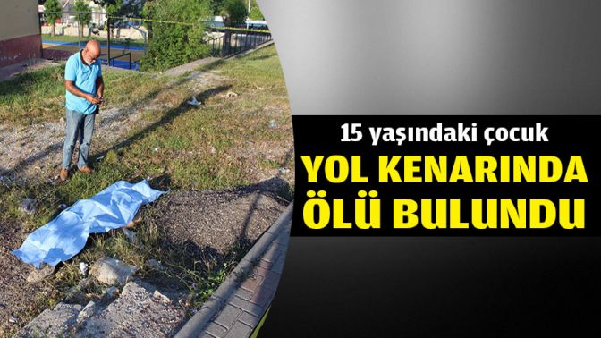 15 yaşındaki çocuk yol kenarında ölü bulundu