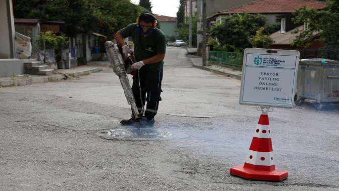 2020’de hem vektör hem de salgınla mücadele ettiler