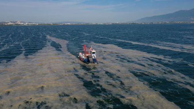 38 günde 100 ton deniz salyası toplandı