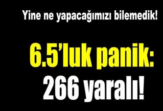 6.5 büyüklüğündeki deprem üç bölgeyi salladı