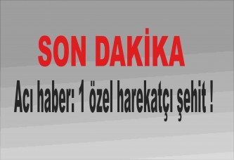 Acı haber: 1 özel harekatçı şehit !