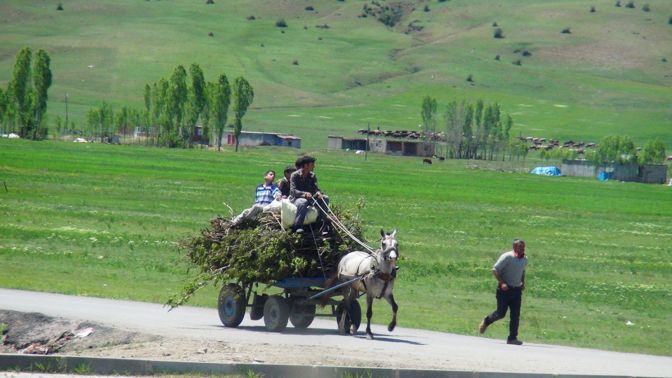 Adanada atla yük taşımak yasaklandı