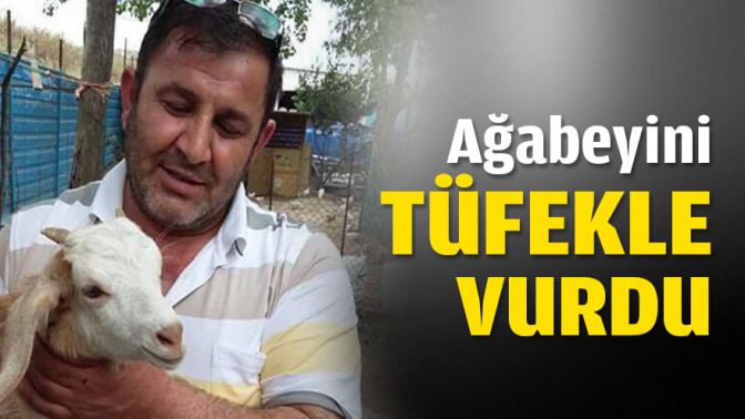 Ağabeyini tüfekle vurdu