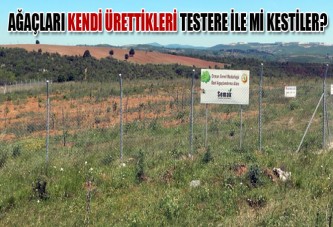 Ağaçları kendi ürettikleri testere ile mi kestiler?