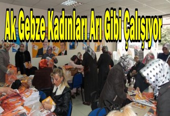 Ak Gebze Kadınları Arı Gibi Çalışıyor