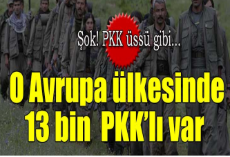 Almanya'da 13 bin PKK'lı var!