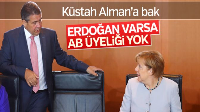 Almanyada Avrupa Birliği için Erdoğan şartı