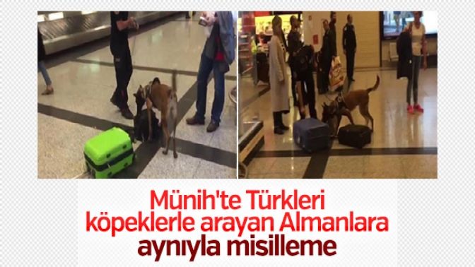 Almanyadan gelen yolculara köpekli arama