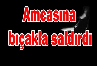 Amcasına bıçakla saldırdı