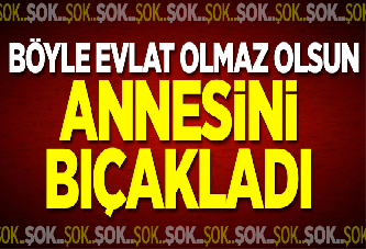 ANNESİNİ BIÇAKLADI!