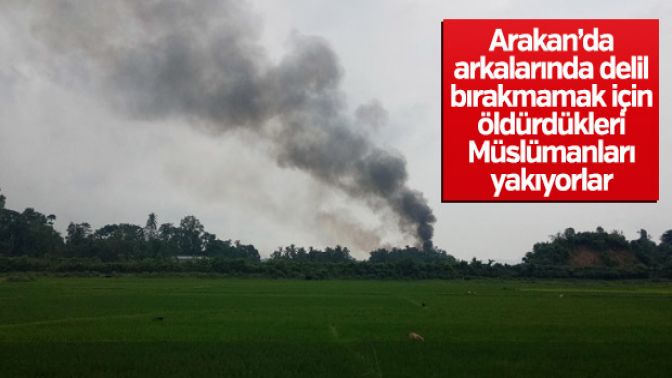 Arakanda cesetleri yakarak yok ediyorlar