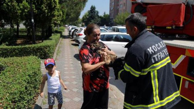 Balkonda mahsur kalan kediyi itfaiye kurtardı