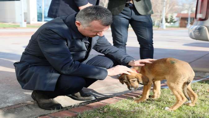 Başkan Büyükakın: Satın almayın sahiplenin