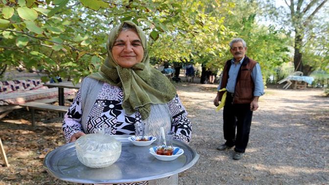 Bataklık araziyi doğa harikasına çevirdiler