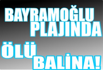 Bayramoğlu Plajında Ölü Balina!