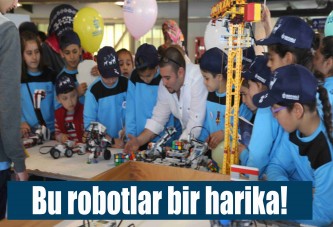 Bu robotlar bir harika!