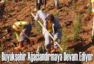 Büyükşehir ağaçlandırmaya devam ediyor