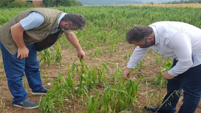 Büyükşehir’den Dolu ve Sel Felaketi Yaşanan Noktalara İnceleme