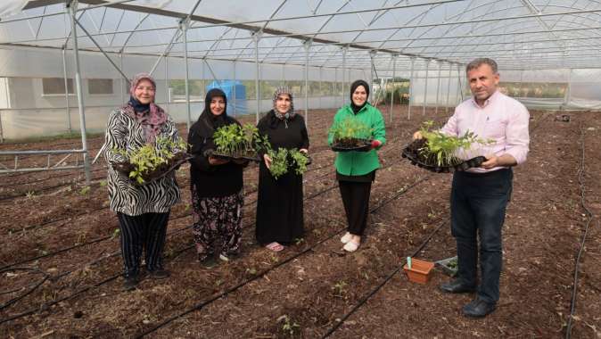 Büyükşehir’den kadın girişimcilere tarımsal destek