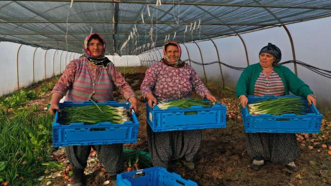 Büyükşehir’den kooperatiflere yüzde 75 hibeli tarım desteği