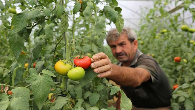 Büyükşehir’den üreticilere yüzde 50 hibeli sera desteği