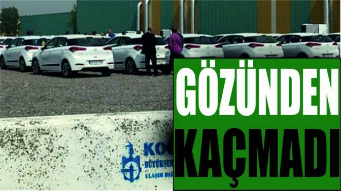 Büyükşehirin gözünden kaçmadı