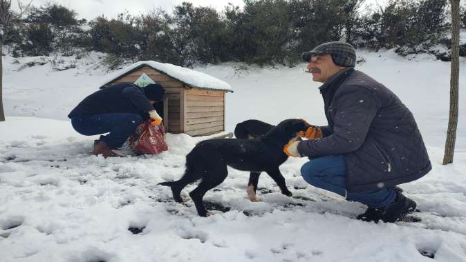 Çayırova’da sokak hayvanları yalnız değil