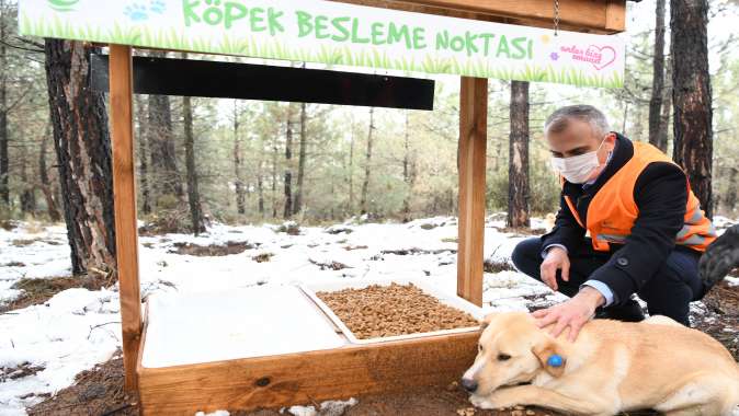 Çayırova’da sokak hayvanları yalnız değil