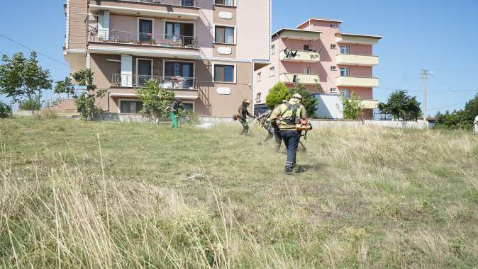 Çayırova’da yabani ot temizliği sürüyor