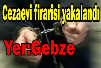 Cezaevi firarisi yakalandı