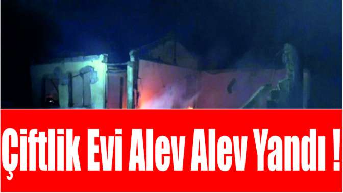 Çiftlik evi alev alev yandı!