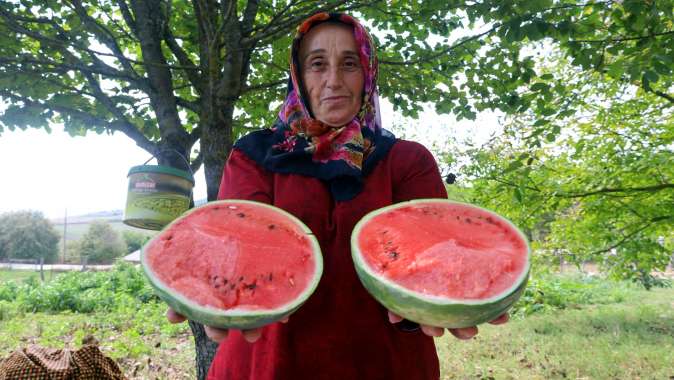 Çilek bahçesi tesisi ve karpuz tohumu