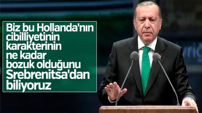 Cumhurbaşkanının Hollandaya Srebrenitsa tepkisi