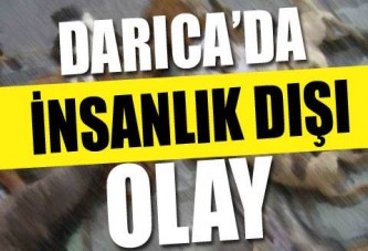 Darıca'da insanlık dışı olay