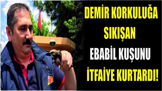 Demir korkuluğa sıkışan ebabil kuşunu itfaiye kurtardı!