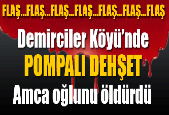 Demirciler Köyü'nde pompalı dehşet