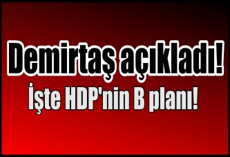 Demirtaş açıkladı! İşte HDP'nin B planı!