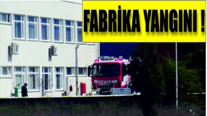 Dilovası’nda fabrika yangını!