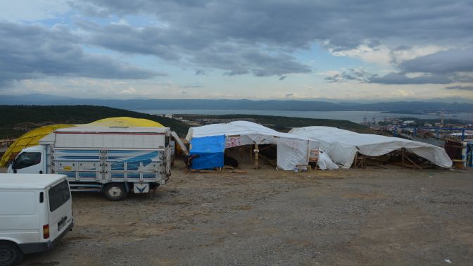 DİLOVASI’NDA KURBAN SATIŞ VE KESİM YERİ BELİRLENDİ