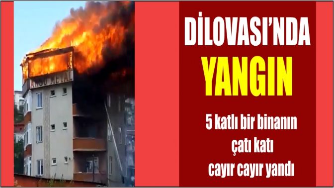 DİLOVASINDA YANGIN