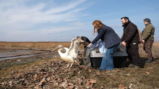 Dünya Sulak Alanlar Günü, ‘Flamingo Şenliği’ ile kutlandı