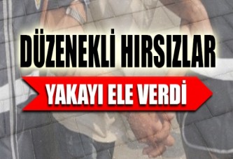 Düzenekli hırsızlar yakayı ele verdi