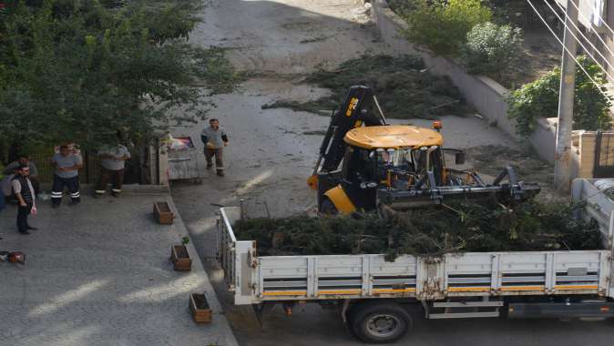 Elektrik Tellerine Değen Ağaçlar Kesildi