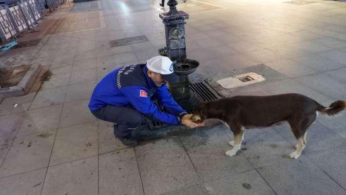 Elleriyle köpeğe su içirdi, gönülleri fethetti