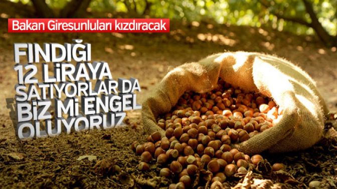 Fındık fiyatları Bakan Fakıbabaya soruldu