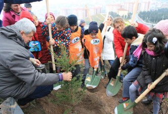 Gebze Beylikdağı ormana dönüşüyor