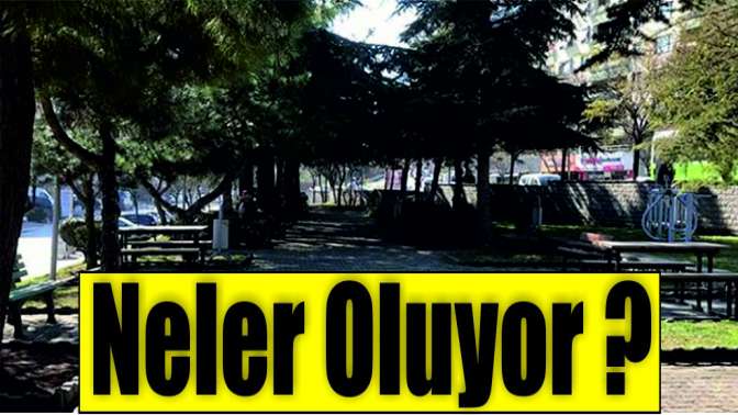 Gebze’deki o parkta neler oluyor?