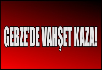 GEBZE'DE VAHŞET KAZA!